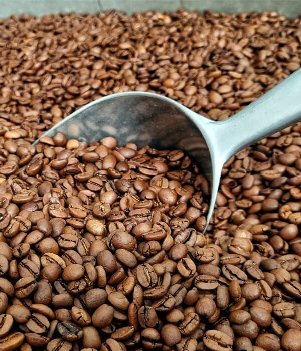 COFFEE roasting service