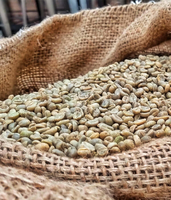 COFFEE roasting service