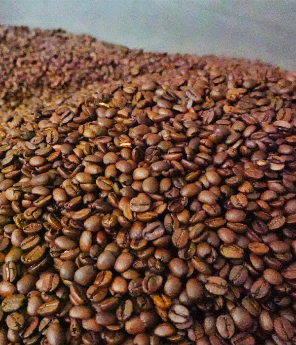 COFFEE roasting service